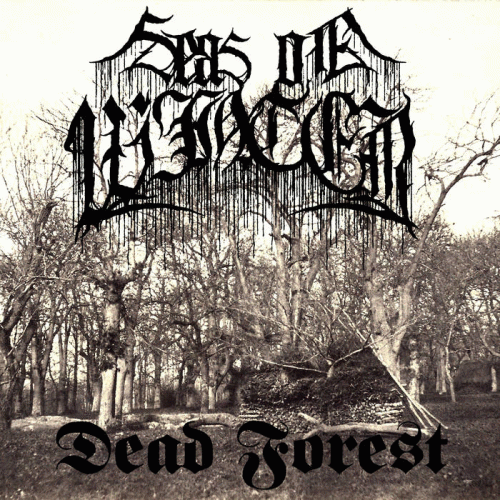 Seas Of Winter : Dead Forest